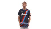 2 Bundesliga Football Sticker by Holstein Kiel