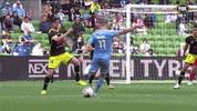 Melbourne City Football GIF by Hyundai A-League