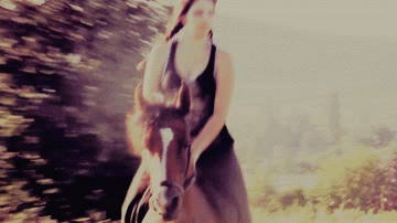 horseback riding love GIF