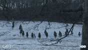 Prepare Winter Is Coming GIF by Game of Thrones