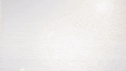 TidalLeague tidal league in a league of our own GIF