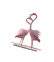 parcodeltapo nature bike bird duck Sticker
