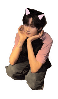Cat Sticker