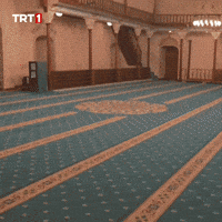 Friday Lights GIF by TRT