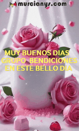 Amigos GIF by Murcianys LLC