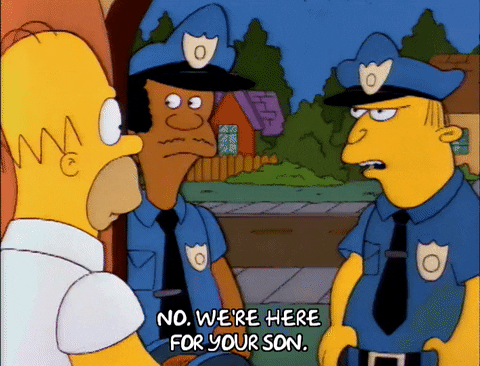 Season 3 Homer GIF by The Simpsons