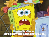 season 8 GIF by SpongeBob SquarePants