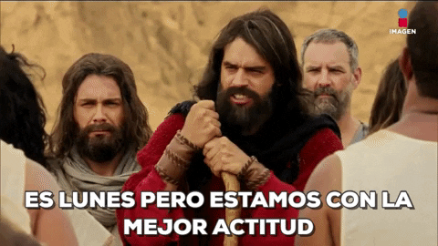 GIF by Imagen Televisión