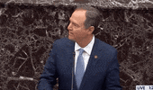news senate impeachment trial impeachment trial adam schiff the house calls john bolton the house calls mick mulvaney lets get this trial started GIF