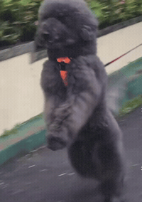 Hustle Running GIF