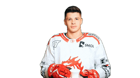 Koch Trinec Sticker by HC Oceláři Třinec