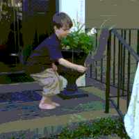 squirrel hugs GIF