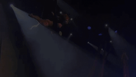 EZTVMuseum giphygifmaker GIF