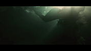 GIF by Copeland