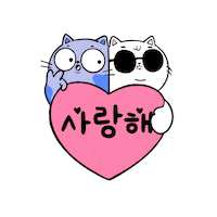 Cat Korean Sticker