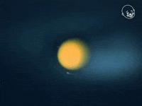 The Secret Life Of Plants GIF by Eternal Family