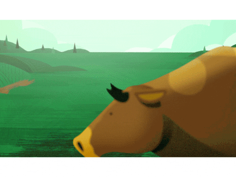 AnchorPoint giphyupload animation cow farm GIF