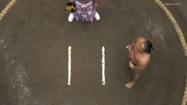TZ85 giphyupload GIF