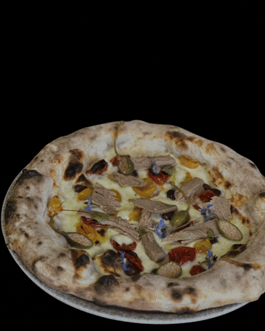 gustigiusti giphyupload gusti giusti nociglia GIF