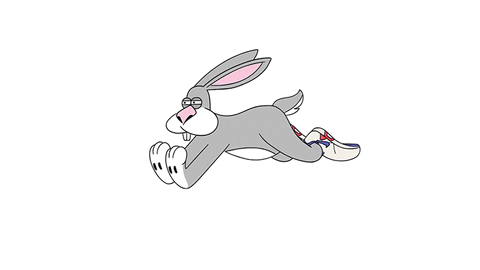 man_vs_machine giphyupload run rabbit hop GIF
