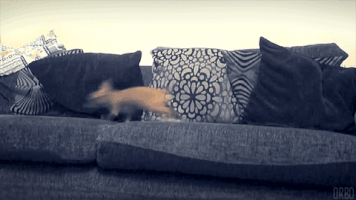 post bathtime GIF