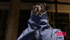 Look At Me GIF by DORA