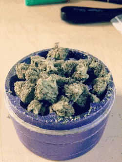marijuana grinder GIF by WeedFeed