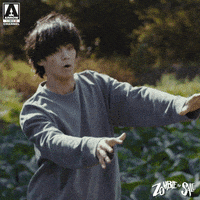 Corned Beef And Cabbage Falling GIF by Arrow Video