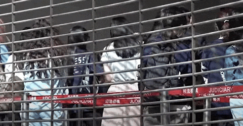 58d4b6a0e8004dd6a499524384e88c9f giphyupload GIF