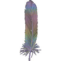 Bird Feather Sticker