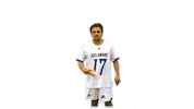 Lacrosse Bluehens Sticker by Delaware Blue Hens