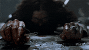 season 4 fight GIF by Black Sails