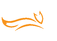 Michael J Fox Sticker by MJFF Staff