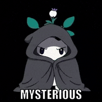 Mystery Cape GIF by Magic Eden