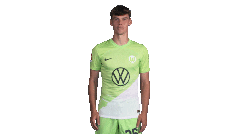 Football Sticker Sticker by VfL Wolfsburg