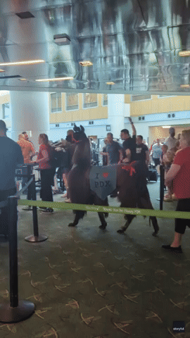 Emotional Support Llamas Delight Travellers at PDX