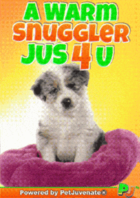 Valentines Day Love GIF by PetJuvenate - PJ