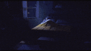 Come Here Emily Blunt GIF by The Animal Crackers Movie