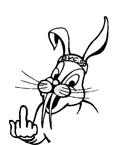 Sachsen-Anhalt Volleyball Sticker by Burger VC 99