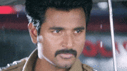 Kaaki Sattai Sk GIF