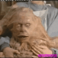 basket case 3 horror movies GIF by absurdnoise