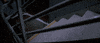 Bruce Willis GIF by Coolidge Corner Theatre