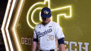 Georgia Tech Baseball GIF by Georgia Tech Yellow Jackets