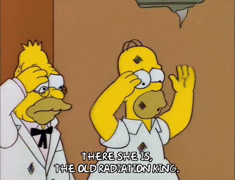 homer simpson episode 10 GIF