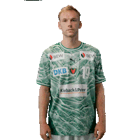 Handball Berlin Sticker by DAIKIN HBL