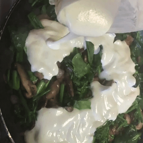 paigesutton giphyupload GIF