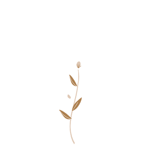 beauty flower Sticker by Aleksandra Konakova