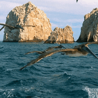 Flying David Tennant GIF by BBC America