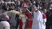 Pope Francis GIF by euronews