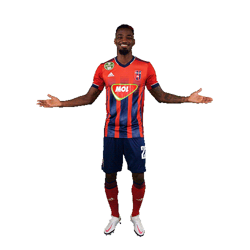 molfehervarfcgif vidi szekesfehervar fehervar molfehervarfc Sticker